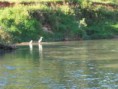 Rio Bauru